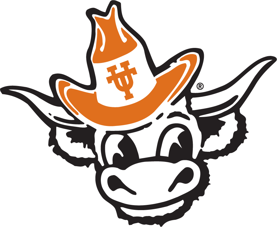 Texas Longhorns 1981-2011 Secondary Logo iron on transfers for T-shirts